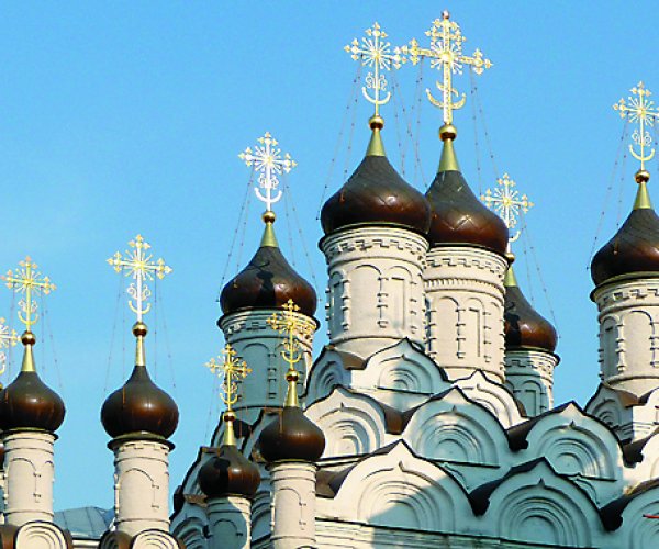 Под покровом Преподобного