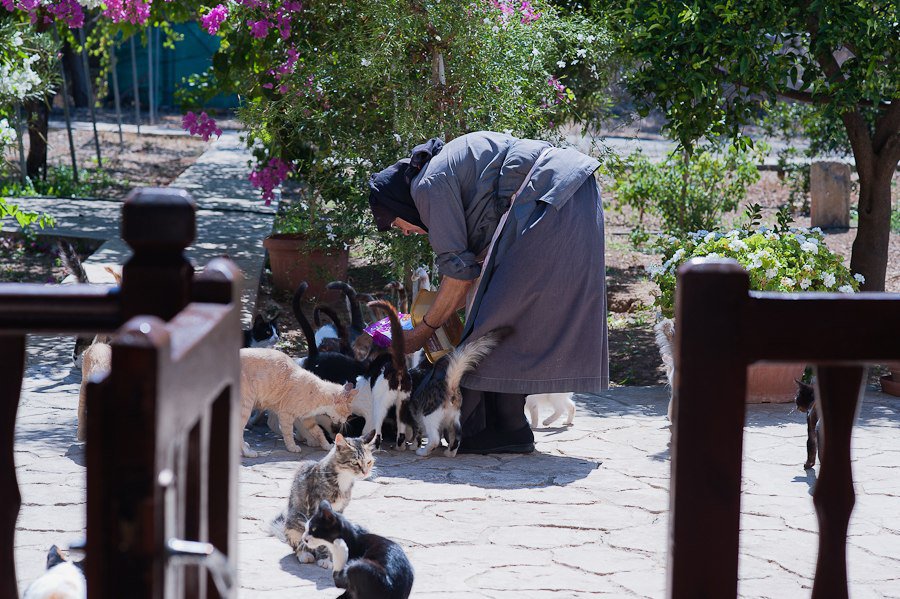 Святая обитель на  Кошачьем мысе