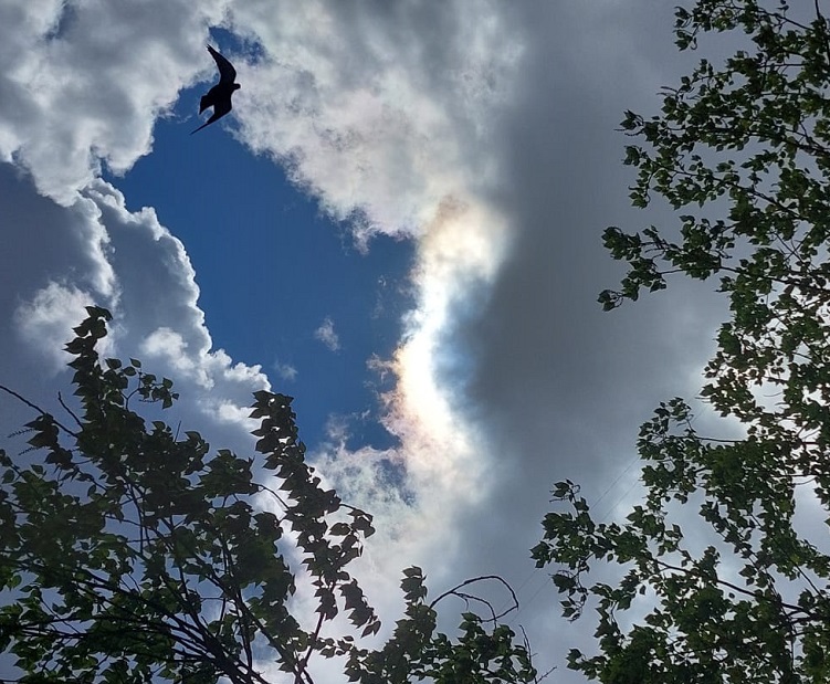 Христос Воскресе, дорогие братья и сестры!  НА ИОАННА БОГОСЛОВА Кто не мыслит, кто не богослов, тот уже немного богоборец. Ум без углублений, без основ – сборщик мусора, усердный грехотворец.  Кто не богомолец каждый день, тот неразличимый богохульник...