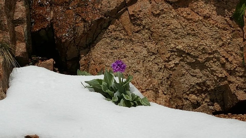 Рождённому Христу уже неделя, две тысячи шестнадцать лет, точней. Те, кто живут, в незримое не веря, с Ним встретились чрез теплоту друзей.  Чрез дни каникул, полные веселья, чрез ожиданье благостных чудес, чрез радость новобрачья, новоселья, чрез зов ...