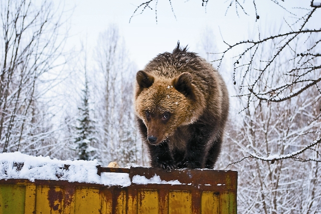 Экспедиция в Пинежье