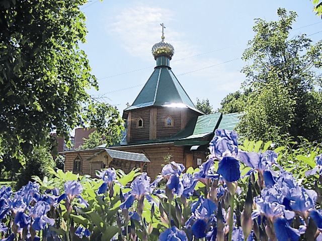 На Чертановских холмах